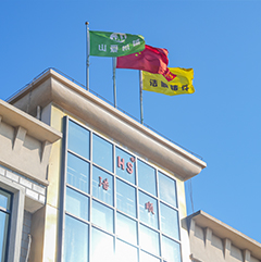 Nantong Haoshun Casting Co, Ltd.